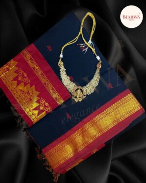 Hansadhwani Rajnita